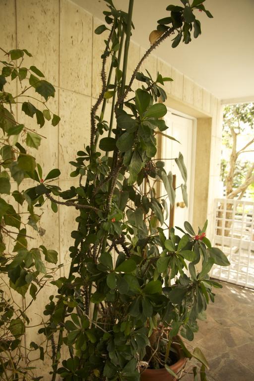 Casa Mimi B&B Pescara Exterior photo
